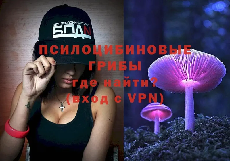 это как зайти  Бугуруслан  Псилоцибиновые грибы MAGIC MUSHROOMS 